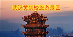 www.huangsewangzan